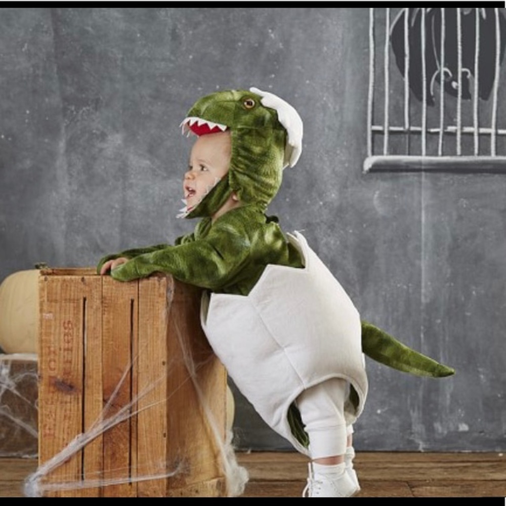 Pottery Barn Green Dinosaur Egg Halloween costume